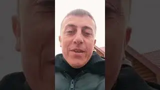 Съели машину. мыши в машине.