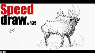 Speed drawing #434