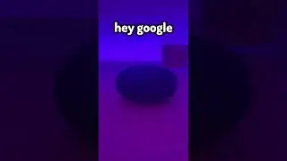 Why Google Home is the BEST