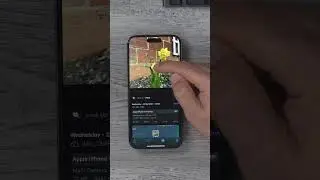 How To Use iPhones Visual Look Up Feature ( Tips 5 of 15 )