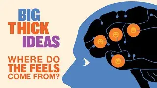 The Feelz: Where Do They Come From? - Big Thick Ideas