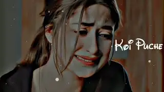 koi puchhe mere Dil se full lyrics video