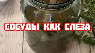 Все ВРАЧИ пьют этот чай! Укрепляет сердце,нервы,очищает СОСУДЫ