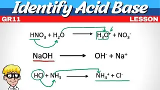 Identify Acid and Base Grade 11