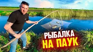 ЛОВЛЮ РЫБУ НА ПАУК! РЫБАЛКА!