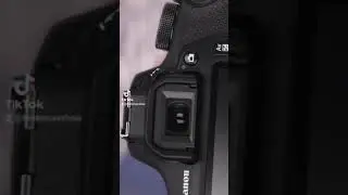 Вечеринка в честь уничтожения 1 млрд токенов Shiba lnu