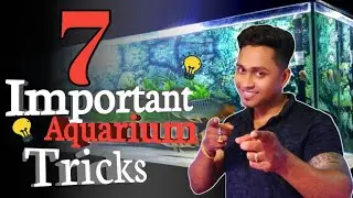 7 Important Aquarium Tricks 🤗🤗|| Don't Miss This Video 🐟🐟 #ashokaqua #aquariumfish #exoticfish