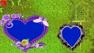 new wedding green screen,fcpx green screen,edius 3d effect,edius green screen,fcpx effect green,187