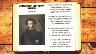 А.С. Пушкин - Цветок | Цветок засохший безуханный | Стихи слушать