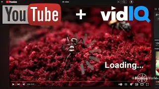 Fix Video Lag Caused by vidIQ Extension on YouTube | Slow Page Load