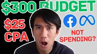 Cost Control Manual Bidding Facebook Ads - $300 Budget & $25 CPA - NOT SPENDING