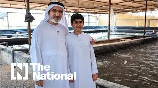 Emirati entrepreneur uses fish farm to grow food in the UAE's desert