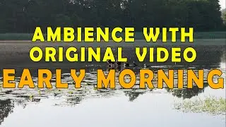World before 5AM is a Majestic place to be - Ambience with live video