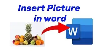 How to insert a picture in word document