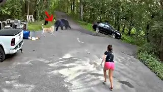 Brave owners saving their dogs from wild animals!!!