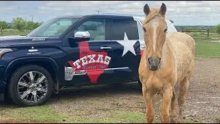 The Texas Bucket List - Cowgirls and Cowboys in the West in Amarillo