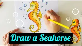 HOW TO DRAW A SEAHORSE - STEP BY STEP - EASY!