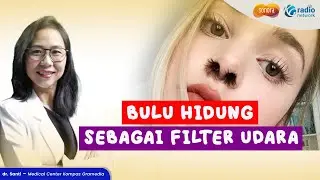 Manfaat Bulu Hidung | Health Corner