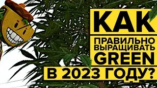 КАК ПРАВИЛЬНО ВЫРАЩИВАТЬ НАРКОТУ В 2023 ГОДУ НА MAJESTIC RP