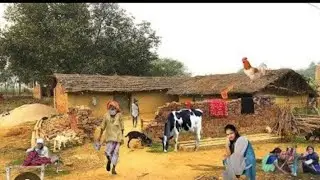 Village Life Punjab Daliy Pakistan ولج لائف پنجاب