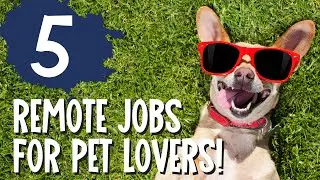 REMOTE JOBS FOR PET LOVERS PART 2 - ENTRY LEVEL WFH JOBS W/ LITTLE TO NO EXPERIENCE REQUIRED