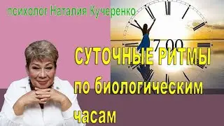 Суточные ритмы ваших биологических часов. Наталья Кучеренко