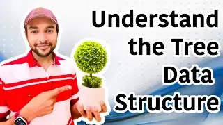 Understanding Tree Data Structure | Definitions, Terminology with examples and diagrams | Easy