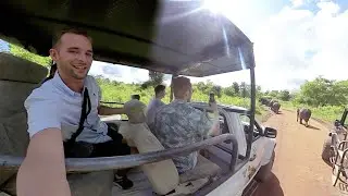 Sri Lanka Outtakes 🌴🐘 Auf den Spuren von Elefanten in Sri Lanka