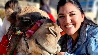 Paseo por el mercado de Jerusalén- Mahane Yehuda. Que puedes encontrar allí?