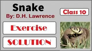 Snake | Part 2 | Question Answer | Class 10 CBSE Board | Exercise Solution | In Hindi | STWIRA