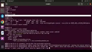 Netdata Installation Remote Support Available For Any Linux