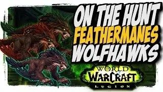 Feathermanes Wolfhawks!! Common to Rare hunter pets 