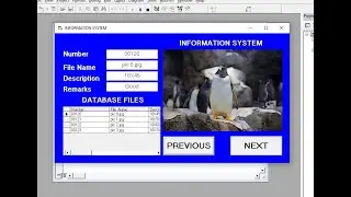 Visual Basic 6.0 Create a Simple INFORMATION SYSTEM with next and Previous Picture and Display