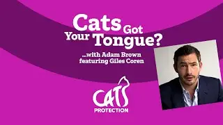 Cats Got Your Tongue? podcast with Giles Coren 🐱🎙️ My cat the wanderer...