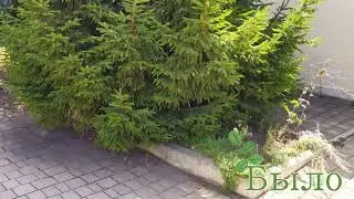Покос травы в коттеджном городке Любимово Донецк