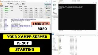 Your xampp server is not starting 2020 |  Apache | My SQL from command 