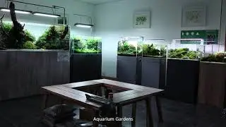 Aquascaping Showroom and Shop Display Tour Cinematic 2020 - Aquarium Gardens