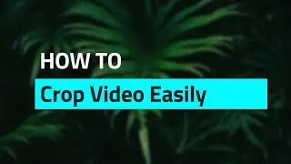 How to Crop a Video on Windows 10 with No Watermark (2024)