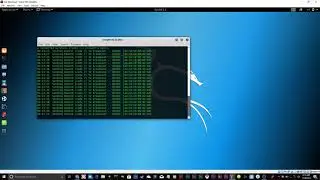 *EASY* How to shutdown wifi with Kali Linux