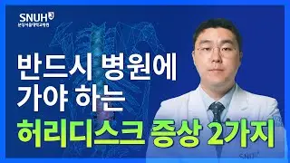 이런 허리디스크(추간판 탈출증) 증상 아니면 집에서 치료하세요 [숫자로 보는 건강]