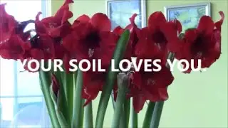 YOUR GARDEN SOIL LOVES YOU