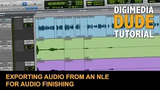 Exporting Audio From An NLE For Audio Finishing