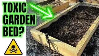 Raised Vegetable Garden Beds | Safe Or Toxic?