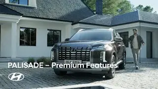 PALISADE I 2023 Update I Premium Features