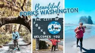 What to do in FORKS WASHINGTON? |  Hoh Rainforest, La Push, & Forever Twilight