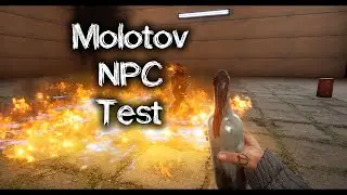 VLADiK BRUTAL (Molotov and NPC)