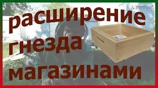 Постановка магазинного корпуса Расширение гнезда магазинным корпусом Многокорпусное содержание пчел