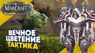 ВЕЧНОЕ ЦВЕТЕНИЕ ТАКТИКА мифик плюс 3 сезон World of Warcraft Dragonflight патч 10.2