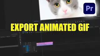 How To Export Animated GIF from Premiere Pro