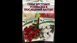 СЕЕМ ЭУСТОМУ! УСПЕВАЕМ В ПОСЛЕДНИЙ ВАГОН!